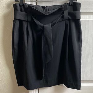 NWT Express Skirt